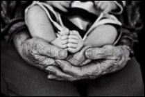 Queensland 2  community legal services justice legal aid counselling legal advice
